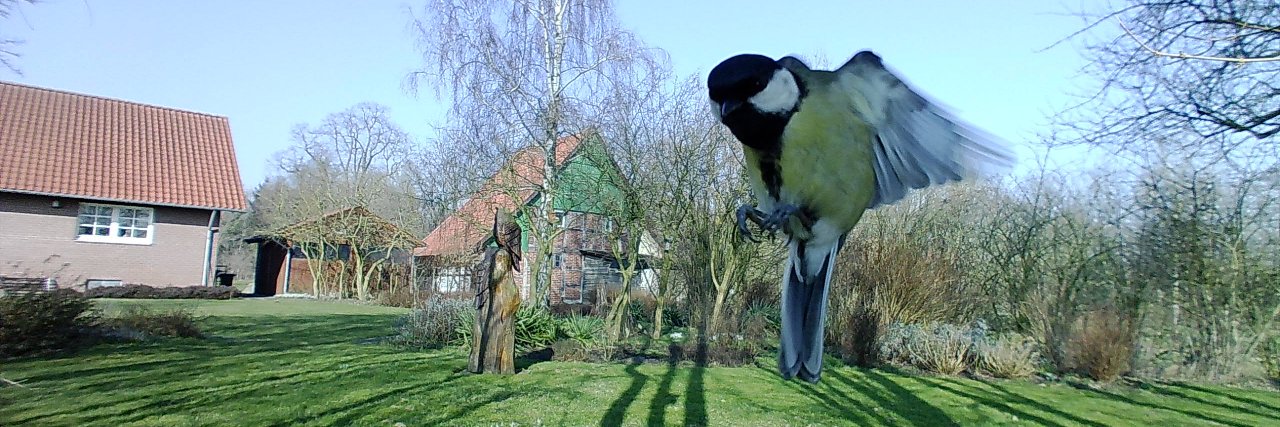 🅲🅾🆁🅸🅽🅰 🅻🅴🆁🅲🅷 banner