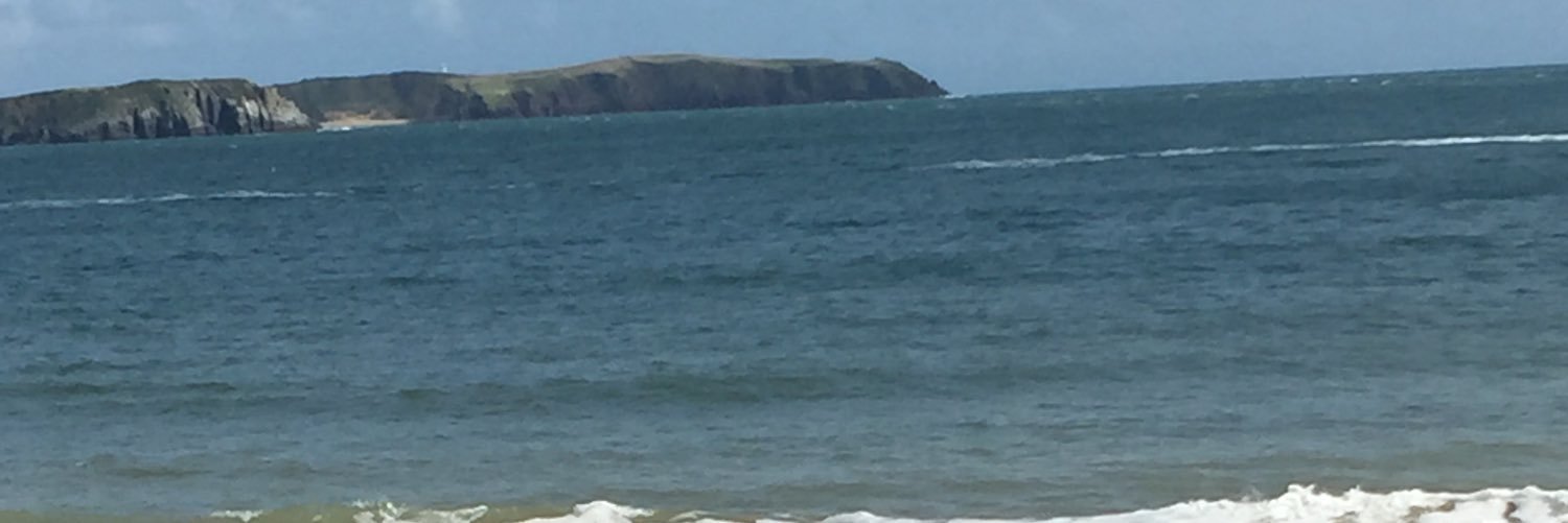 Bethan Edwards banner