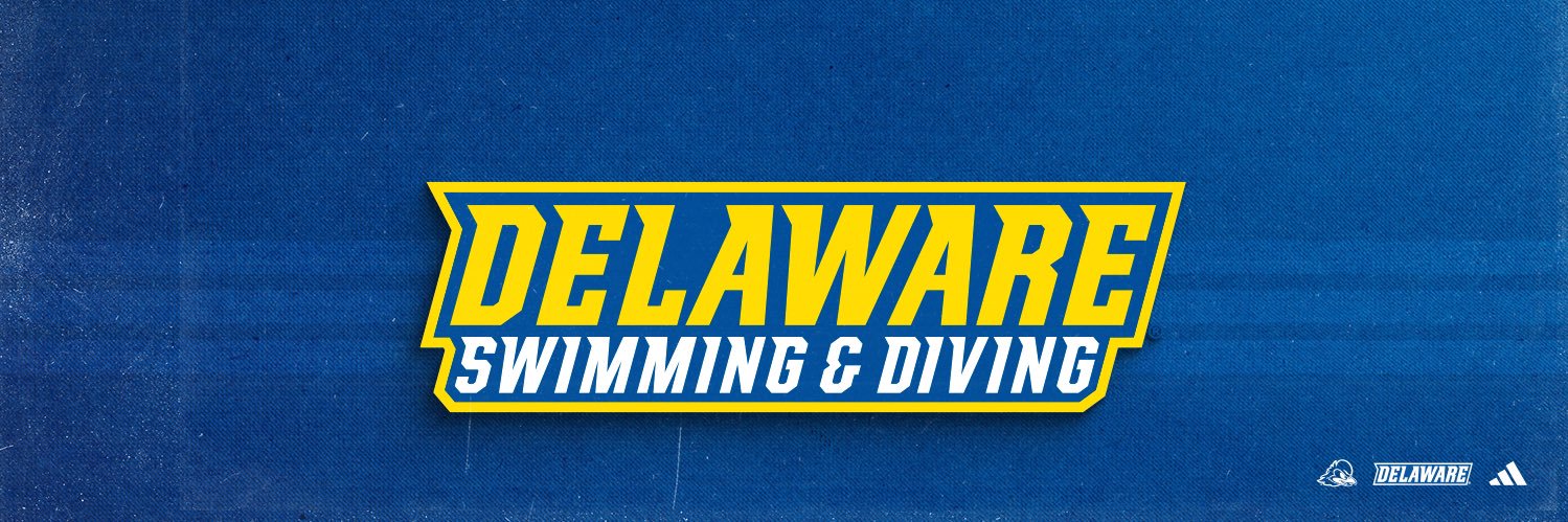 Delaware Swimming & Diving's banner