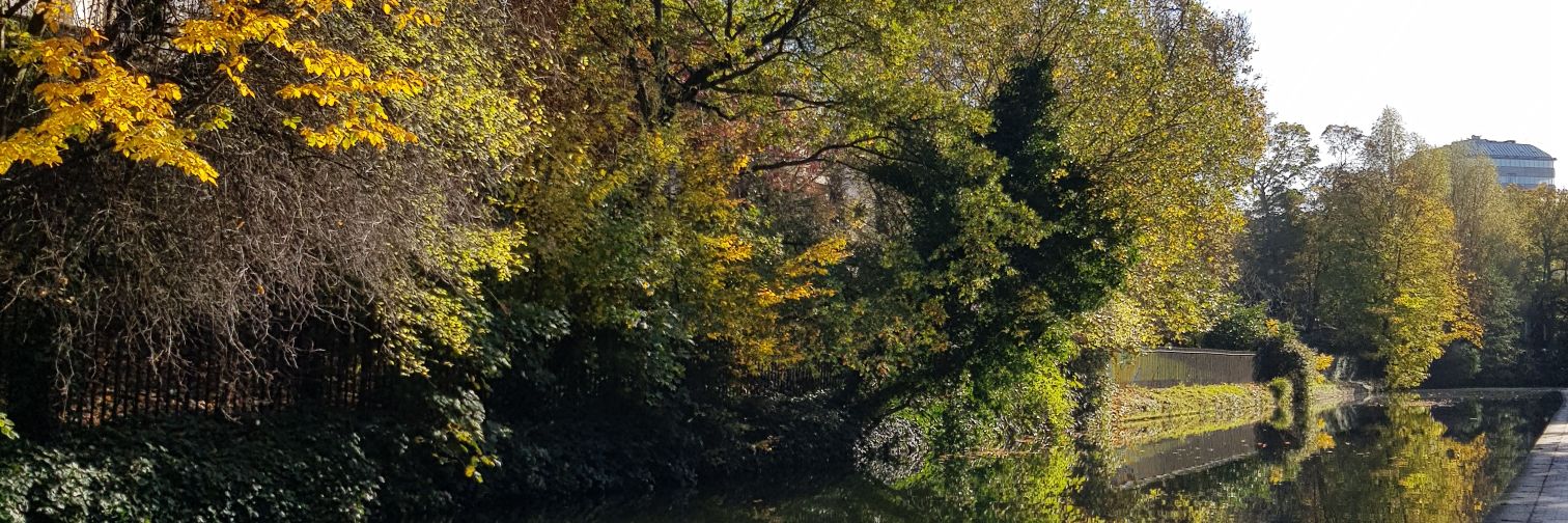 FdeMunnich's profile banner image
