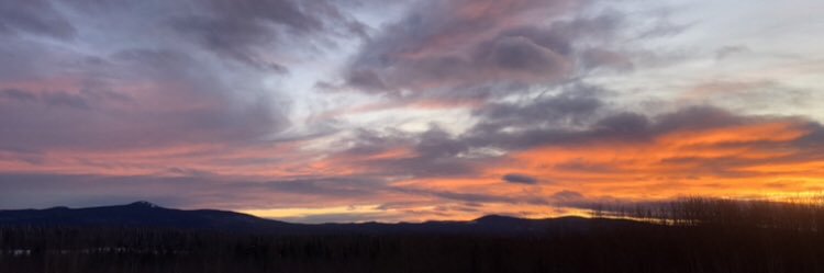 Tara Basran (Kurucz) banner