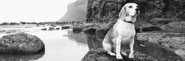 y9rog Profile Banner