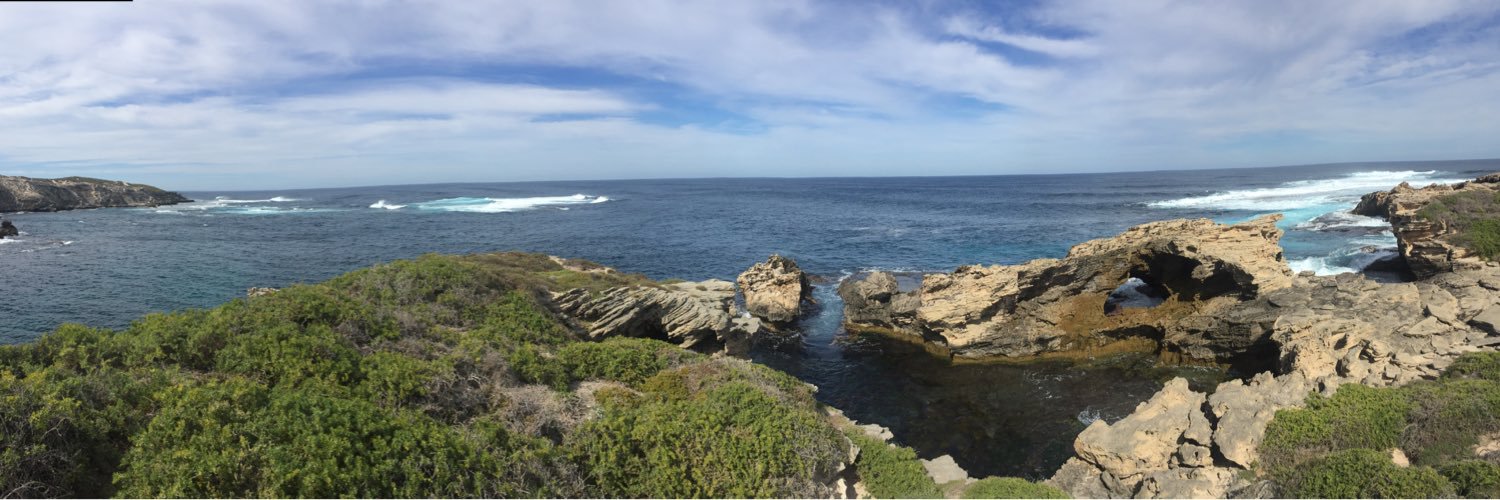shane landers banner