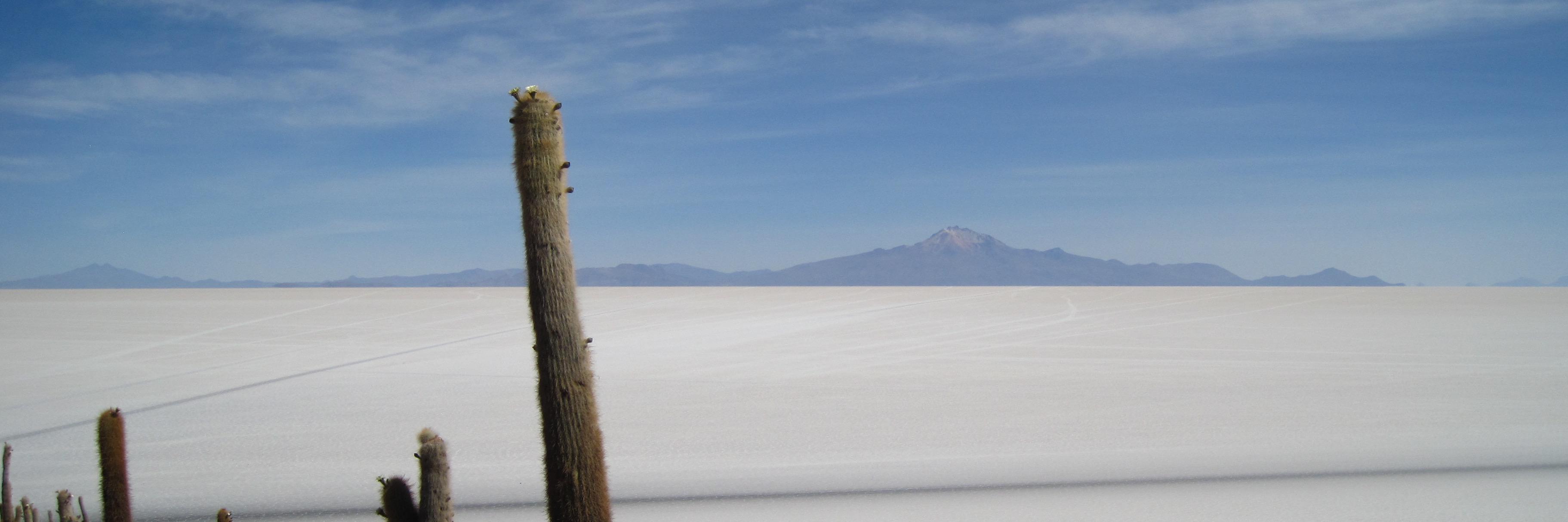 Rob Bourgeois banner