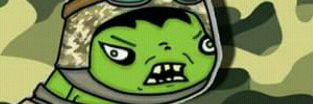 Pequeño Holk banner