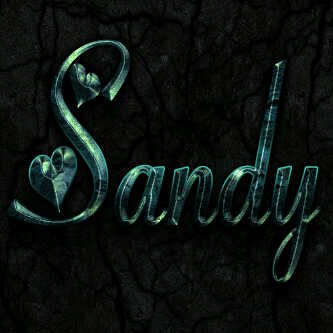 sandrabolter's profile banner image