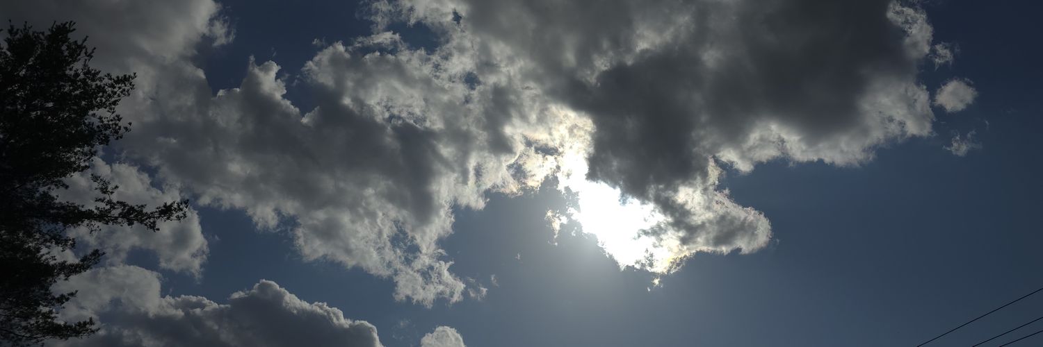 Billy McGee III banner