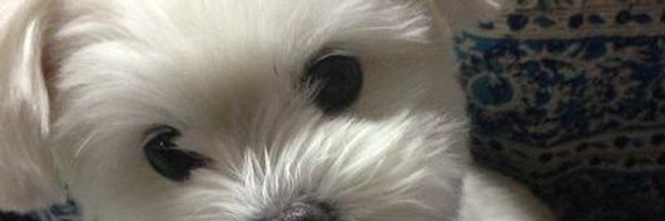 CreatioVitae Profile Banner