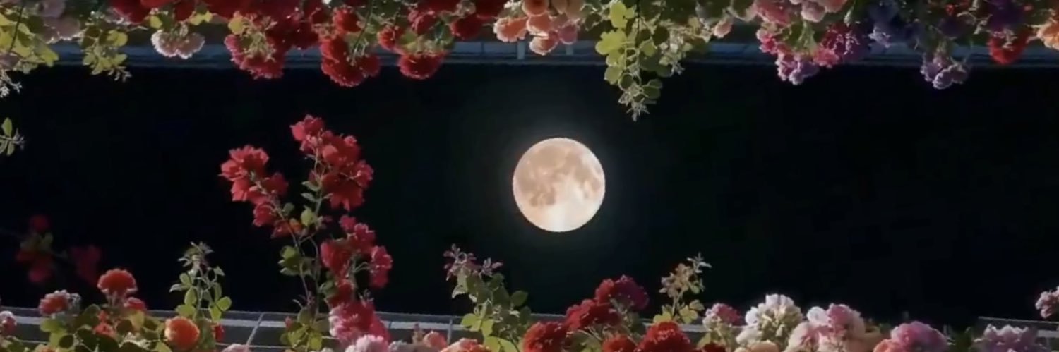 Daniella | Toronto Teacher banner