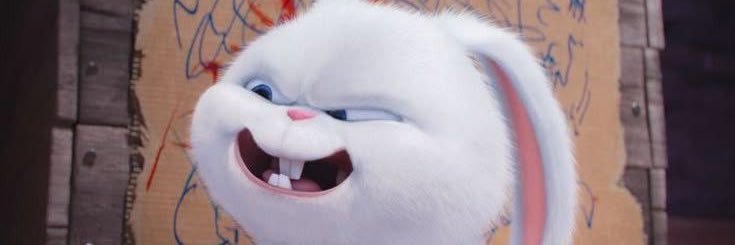 ccmemai's profile banner image