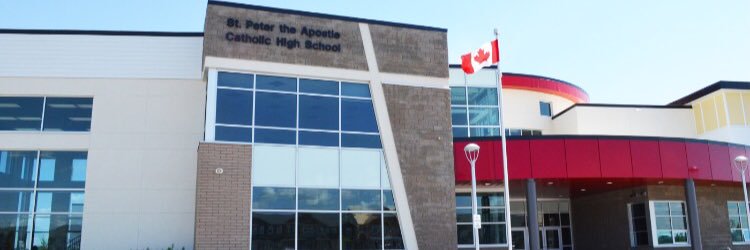 ARISE Program banner