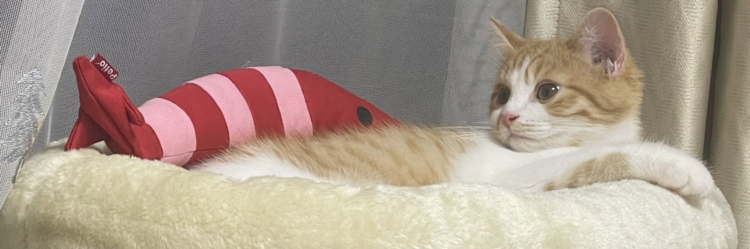 xonpixlove's profile banner image