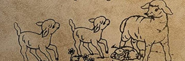 Libelia Pompa banner