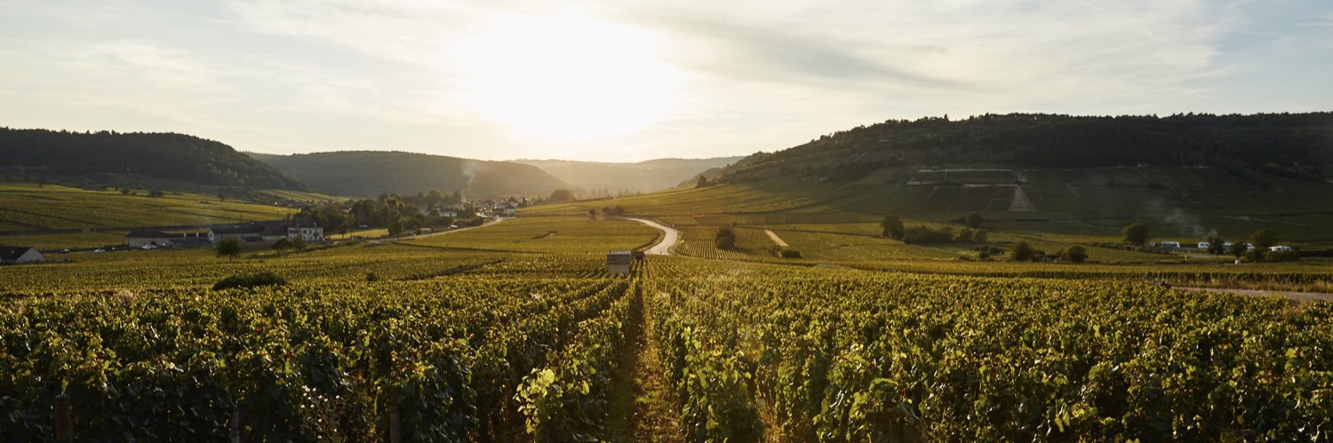 Lay & Wheeler banner