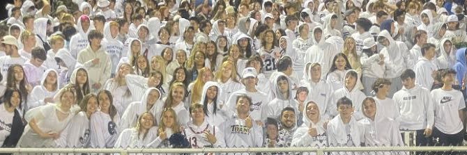 T Birds banner