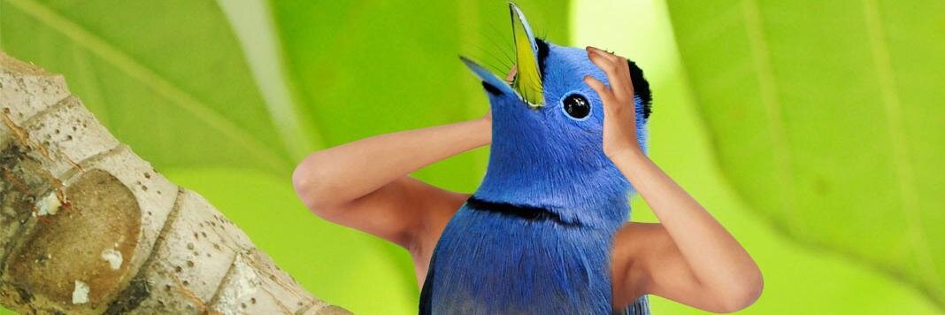 peronperon's profile banner image