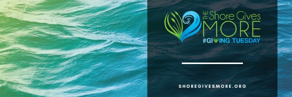 WicomicoHumane's profile banner image
