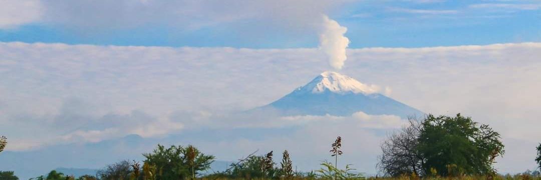 espectadorJos banner