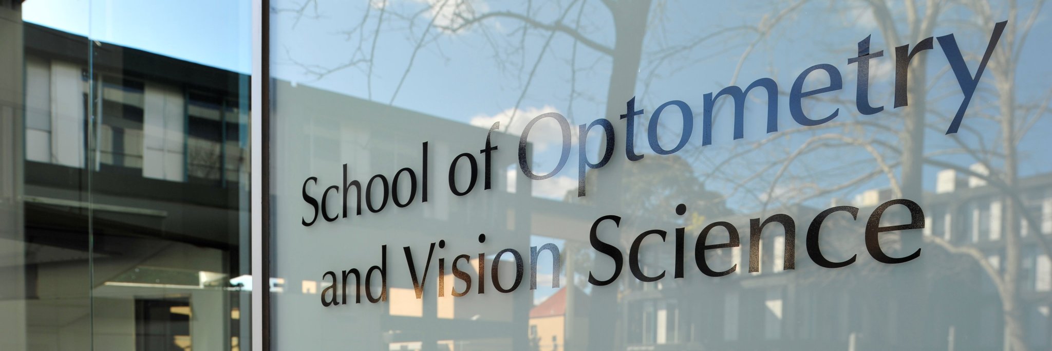 UNSW School of Optometry and Vision Science's banner