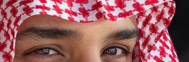 شباب بن راجح بن جروه banner