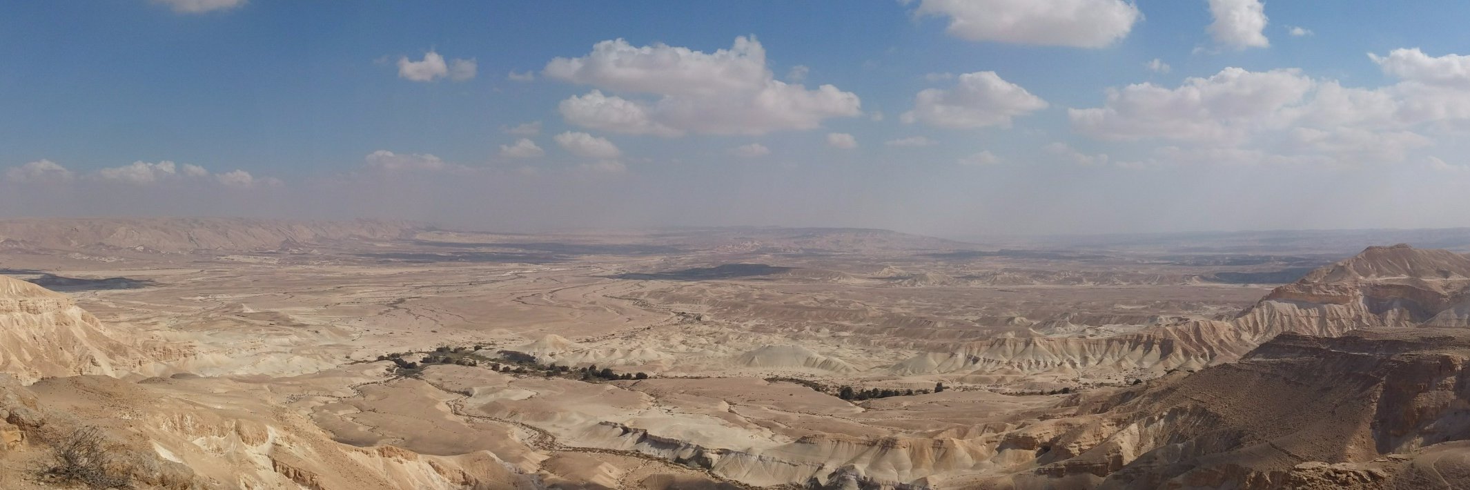 Dalya Gartzman banner