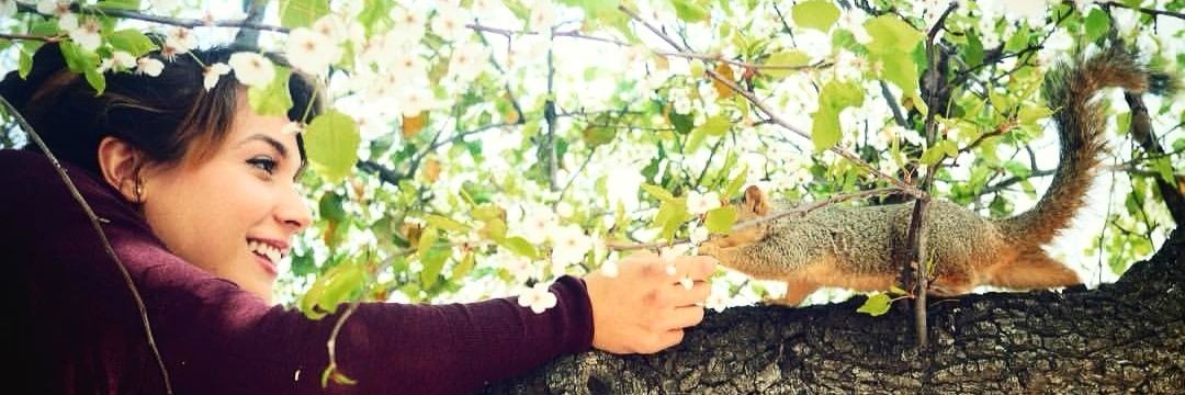 MiriamCAO2's profile banner image