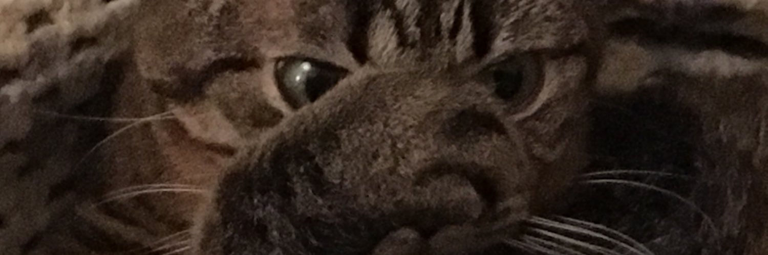 daveskent's profile banner image
