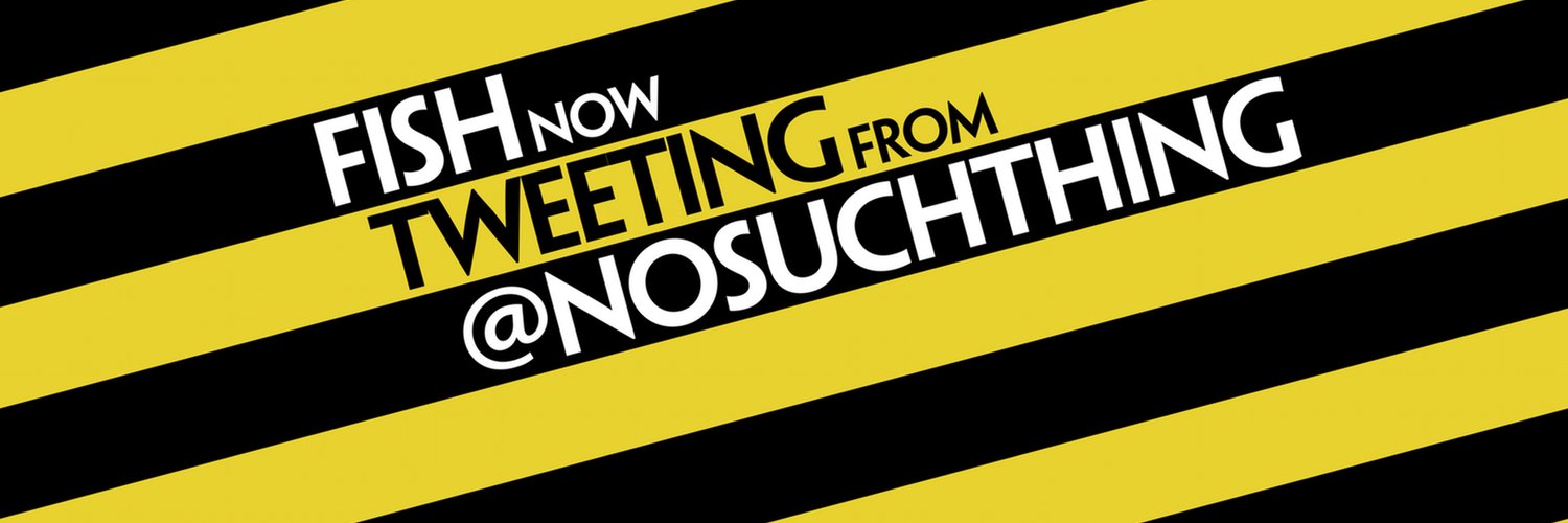 NOT NoSuchThing... banner