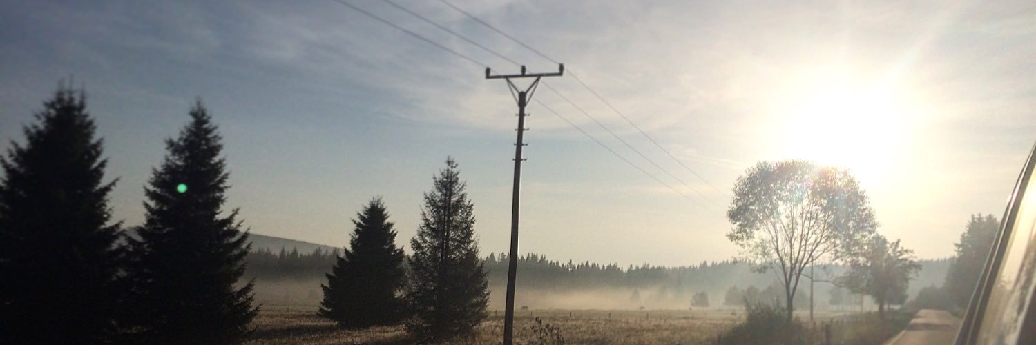 MonikaPrinzova's profile banner image