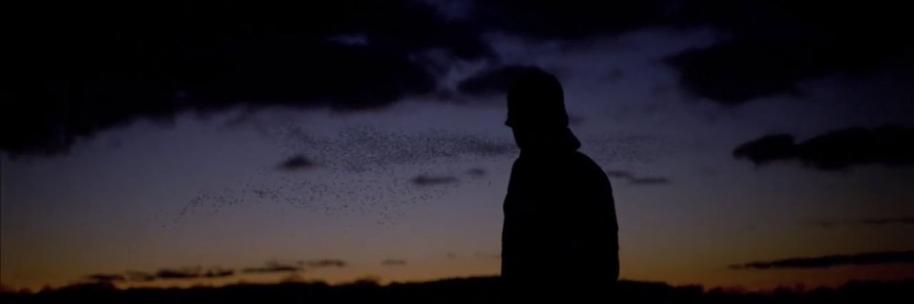 Jamie Buckley banner