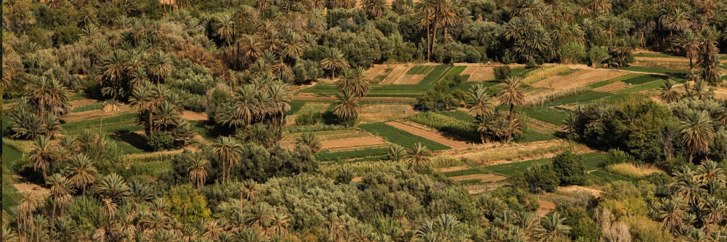 SamJewelCarbon banner