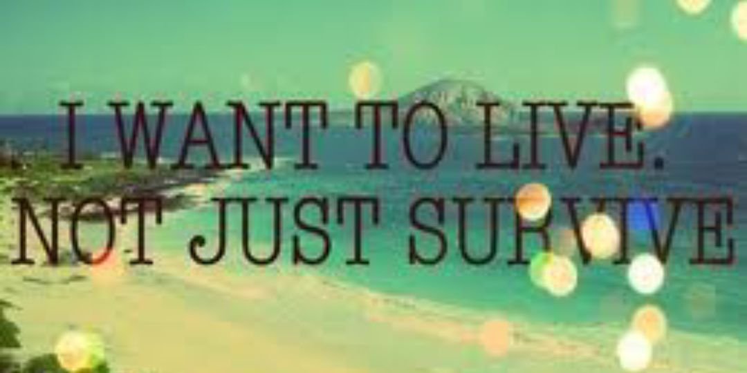 soiknwitzreal's profile banner image