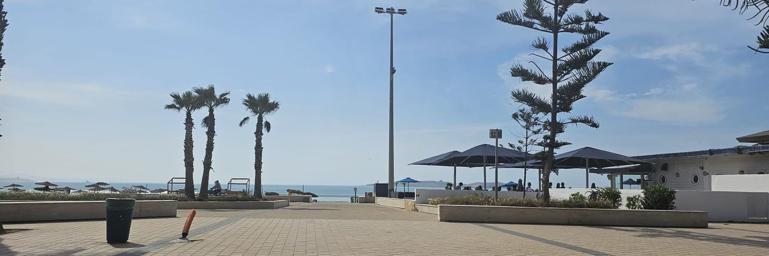 YOUR FRIEND🦴 banner