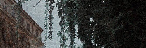 lil banner