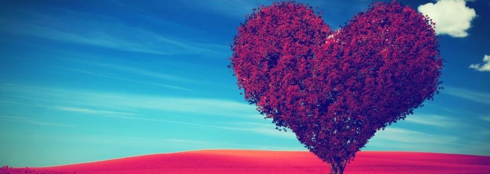 Professionals in Cardiac Sciences Australia Inc banner