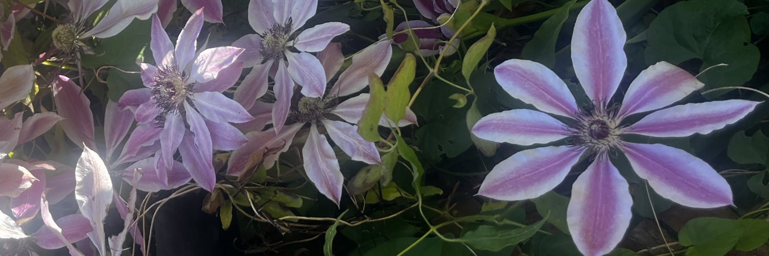 Fleurdiz's profile banner image