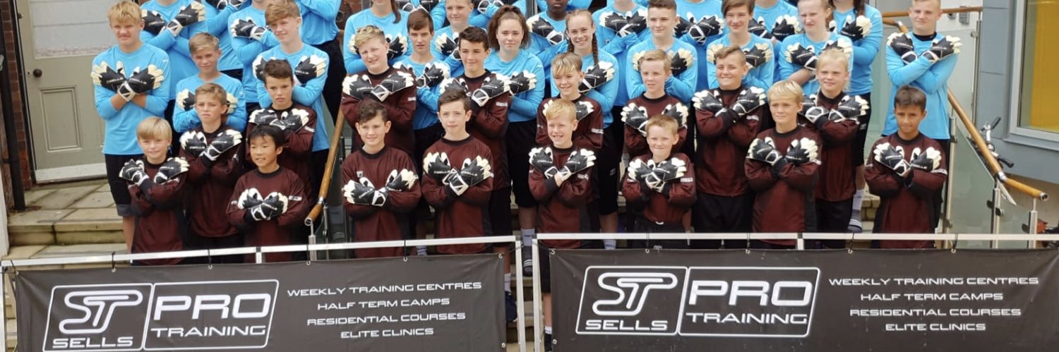 Sells Pro Training banner