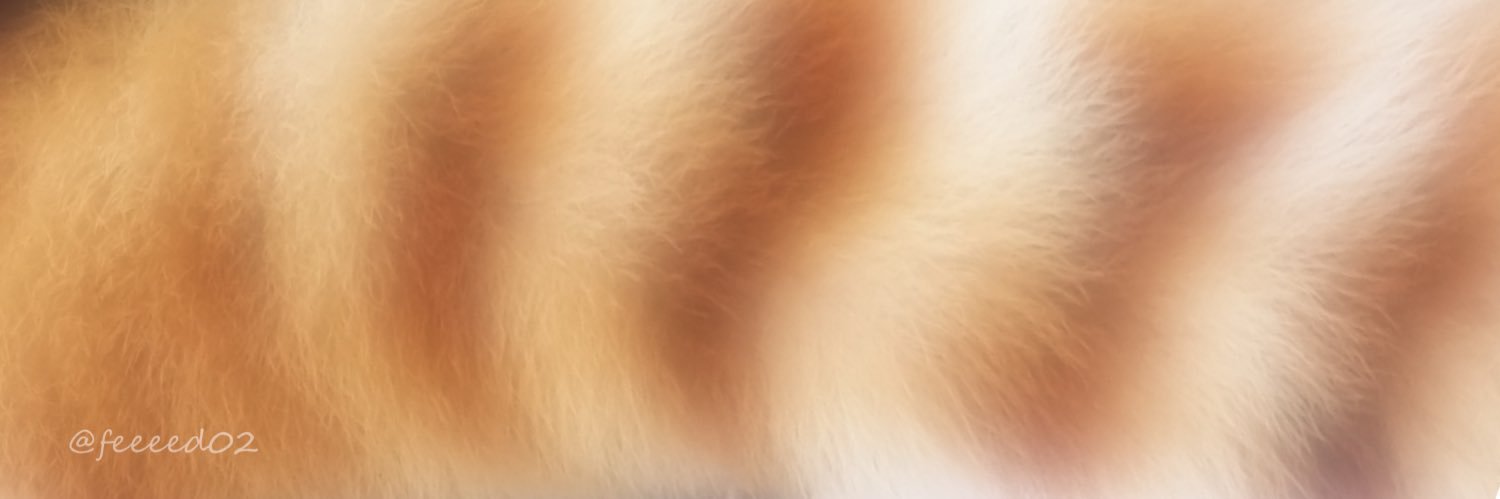 ⁿᵃᵍᵃᵒ banner