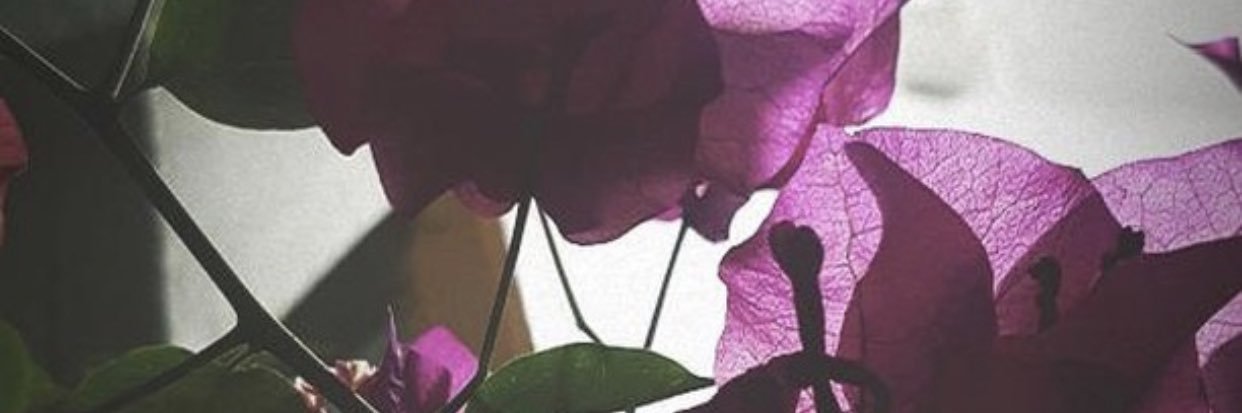 VaarishM's profile banner image