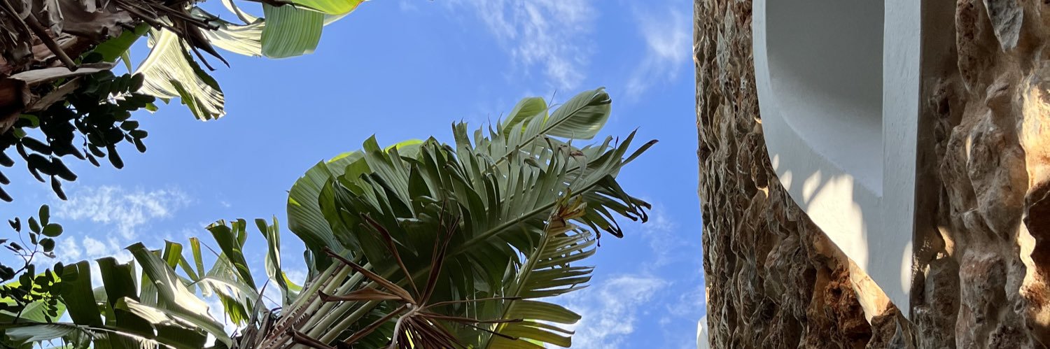 AdamBActual's profile banner image