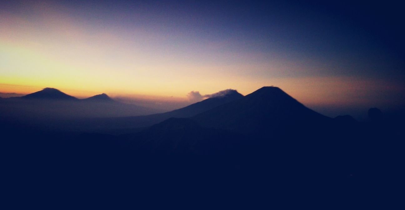 petopetaz's profile banner image