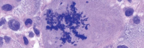 CraigHorbinski Profile Banner