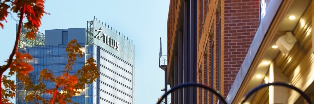 25YorkSt banner