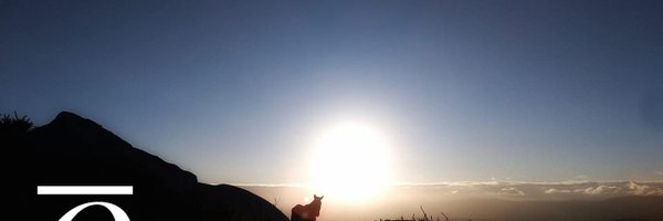 nortron6 Profile Banner