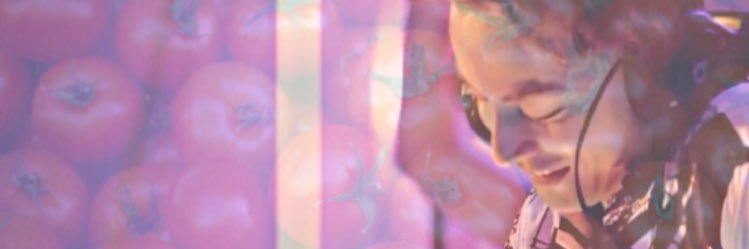 __fl_e's profile banner image