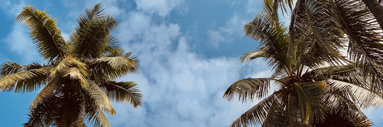 VeloiseAnn's profile banner image
