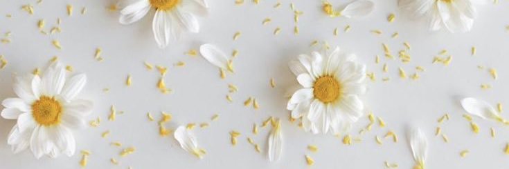 Aisha Achda banner