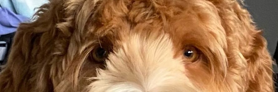 DaveCummings71's profile banner image