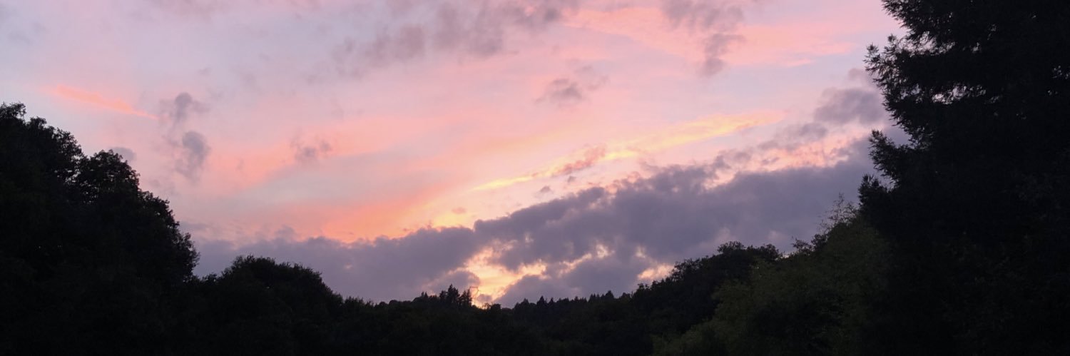mxriepnz's profile banner image