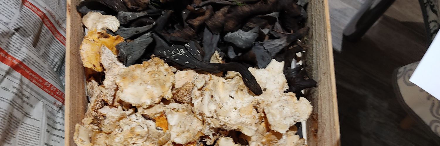 casescedric's profile banner image